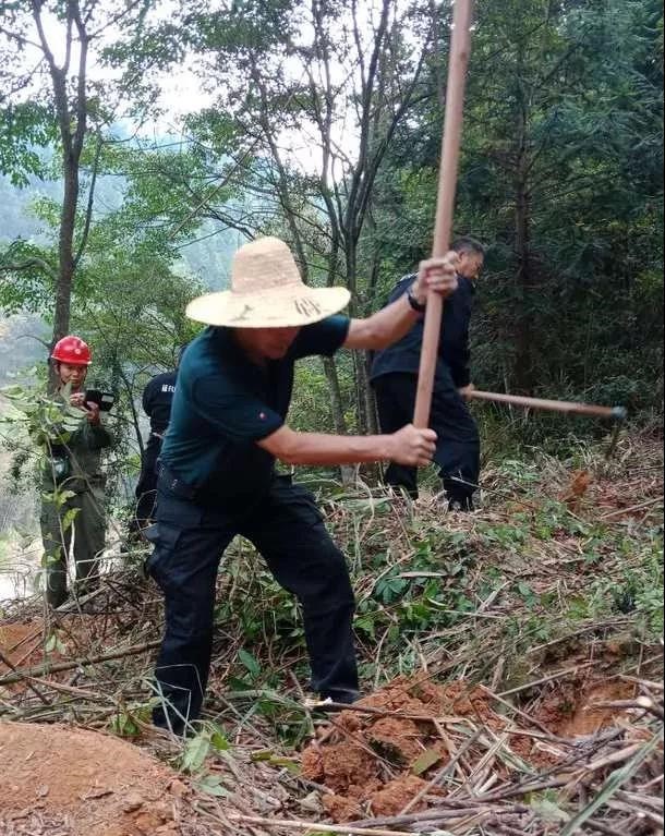 干好每一天|青山掛白我復綠，無私奉獻金森人——資源保護部義務突擊隊工作記實