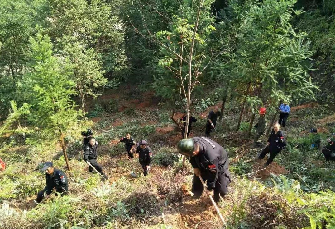 干好每一天|青山掛白我復綠，無私奉獻金森人——資源保護部義務突擊隊工作記實