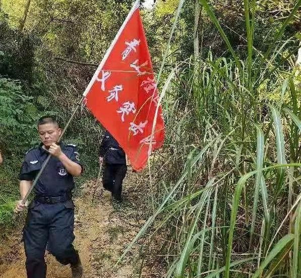 干好每一天|青山掛白我復綠，無私奉獻金森人——資源保護部義務突擊隊工作記實