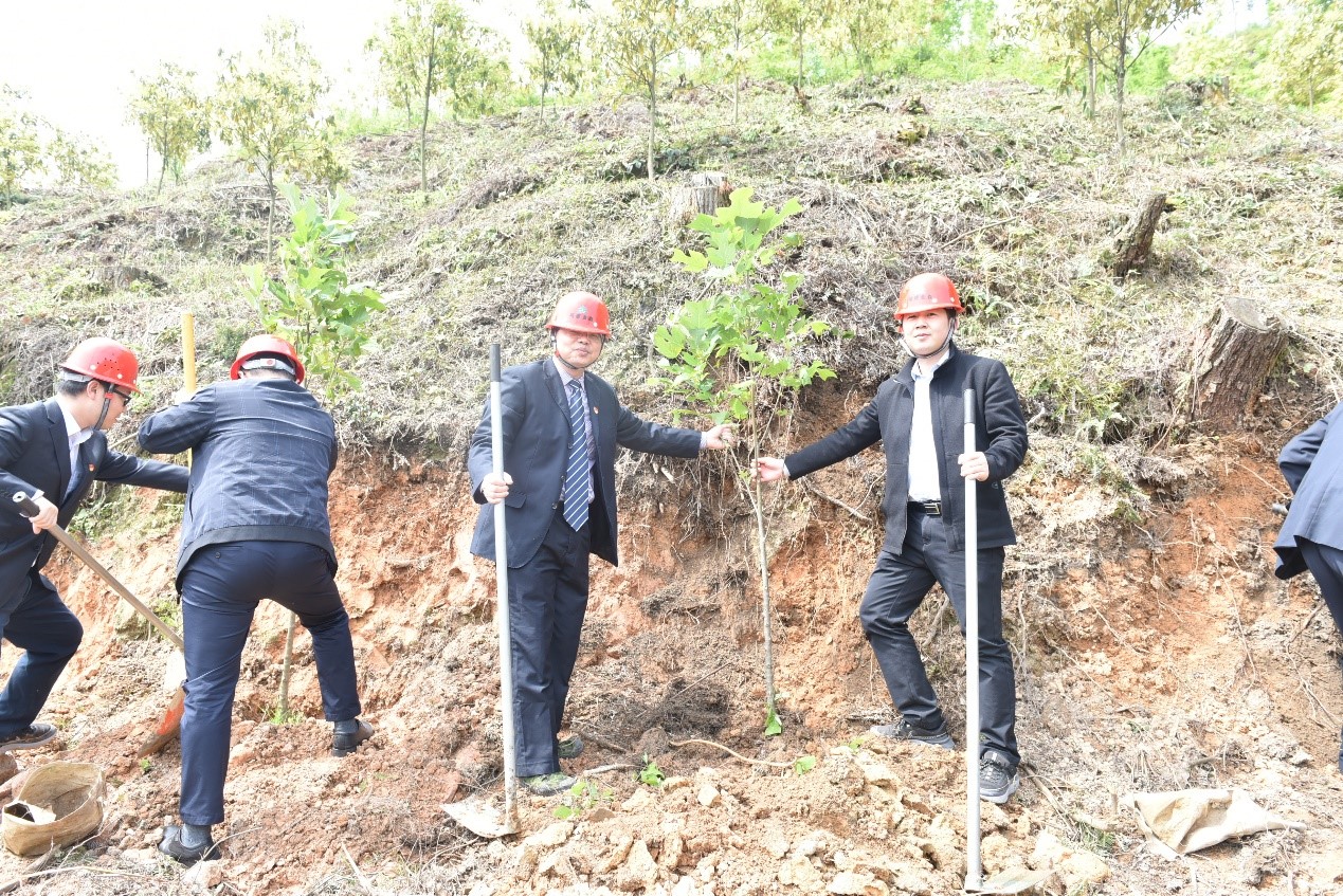 “守護綠水青山，共助鄉村振興” ——農發行沙縣支行與福建金森黨總支開展共建活動